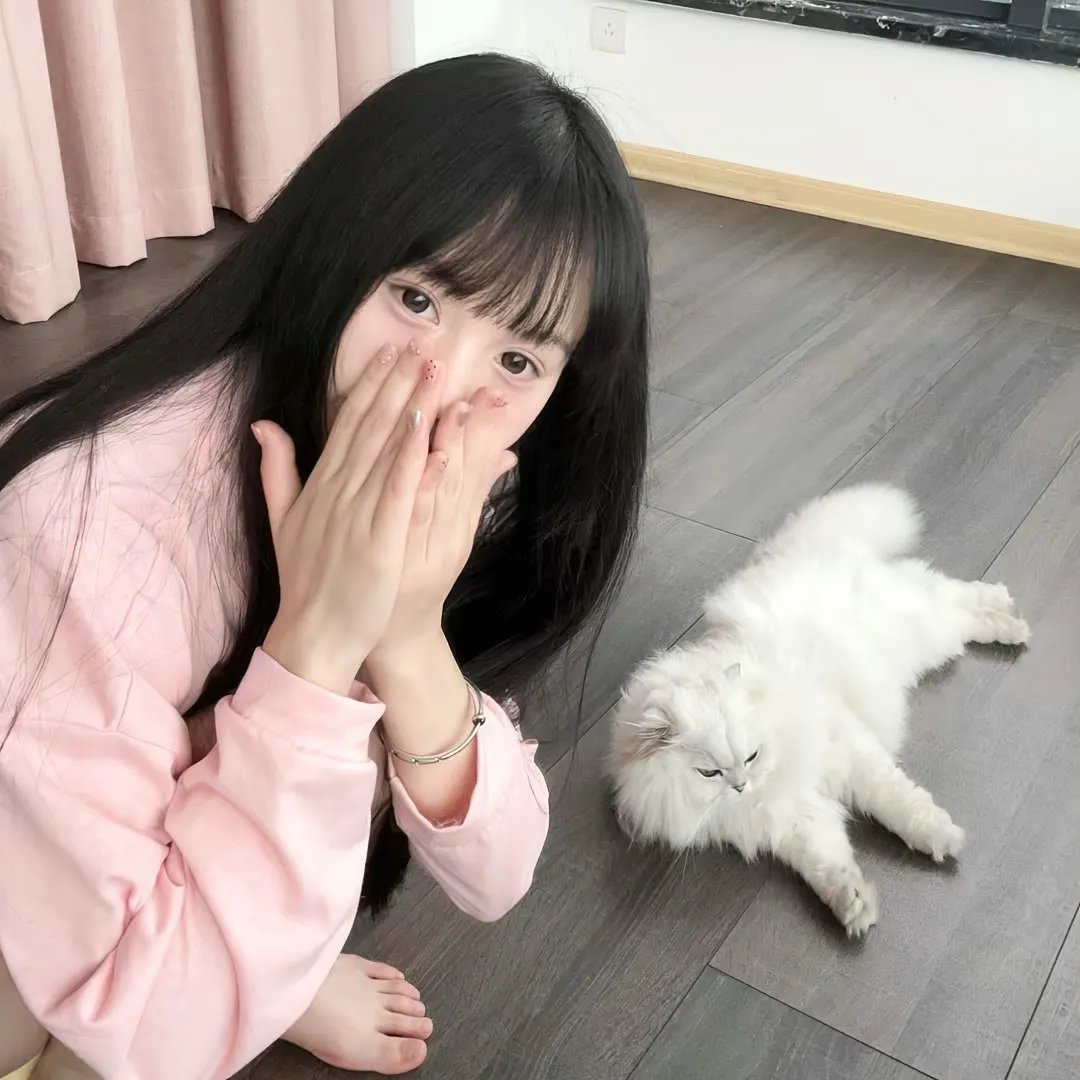 与君行