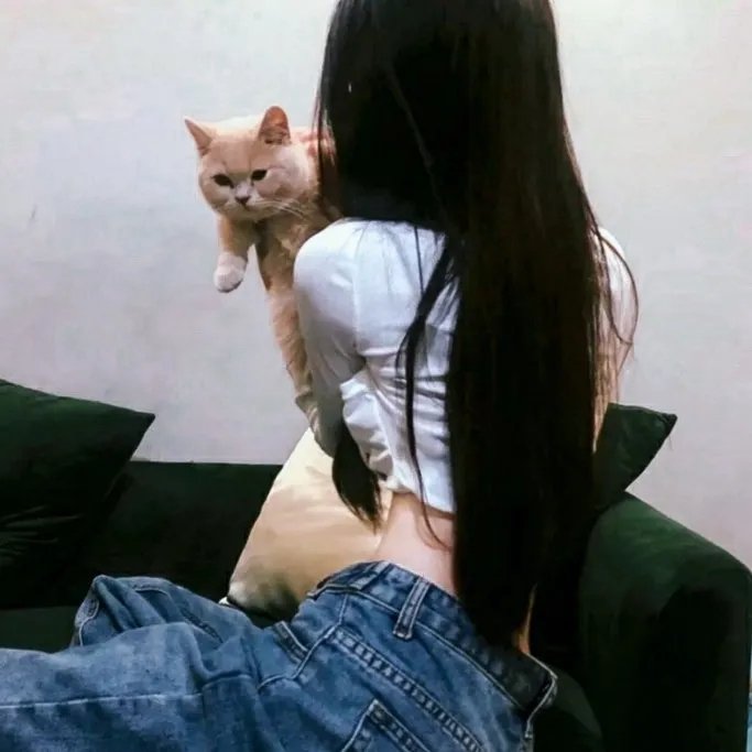 在土星环中