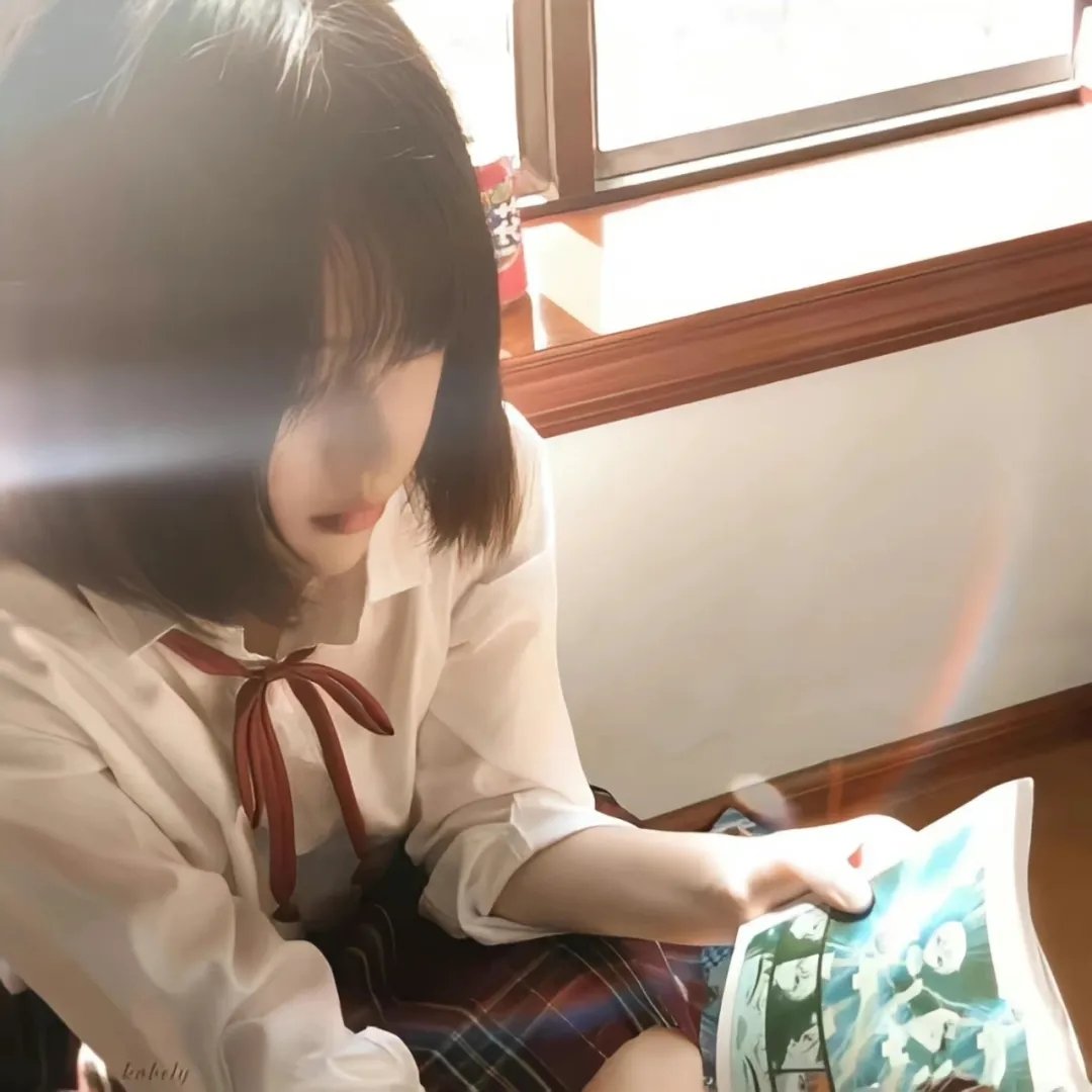 树袋熊